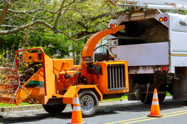 Best Arborist Consultation Services  in Wildwood Crest, NJ